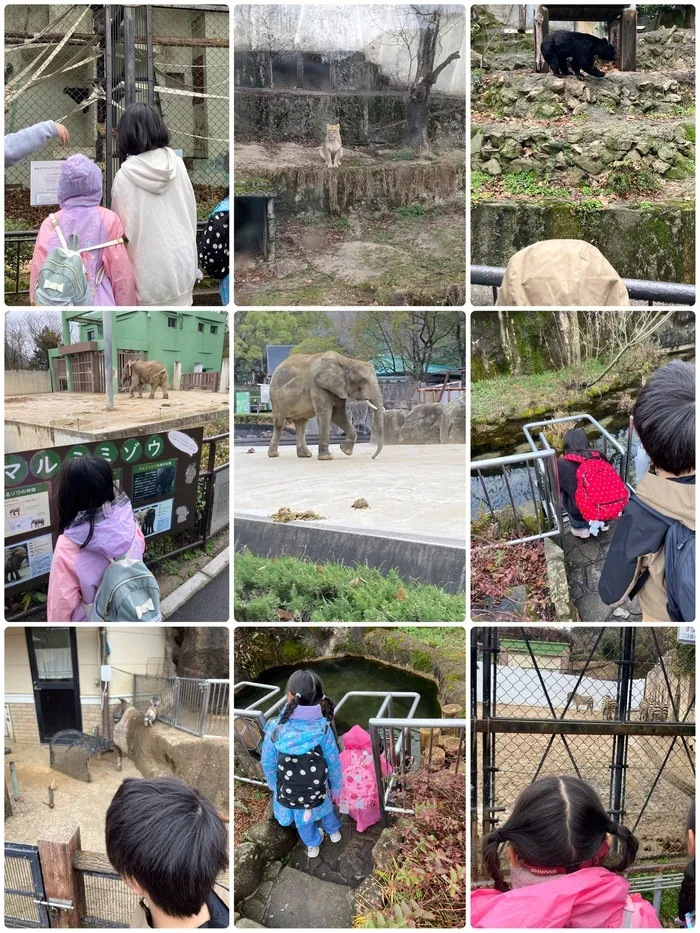 コモンチャイルドケア/動物園に行ってきました🐷