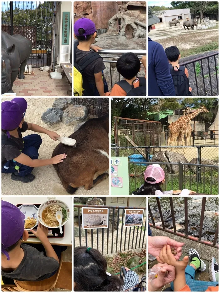 コモンチャイルドケア/動物園にお出かけしました🐅🐷