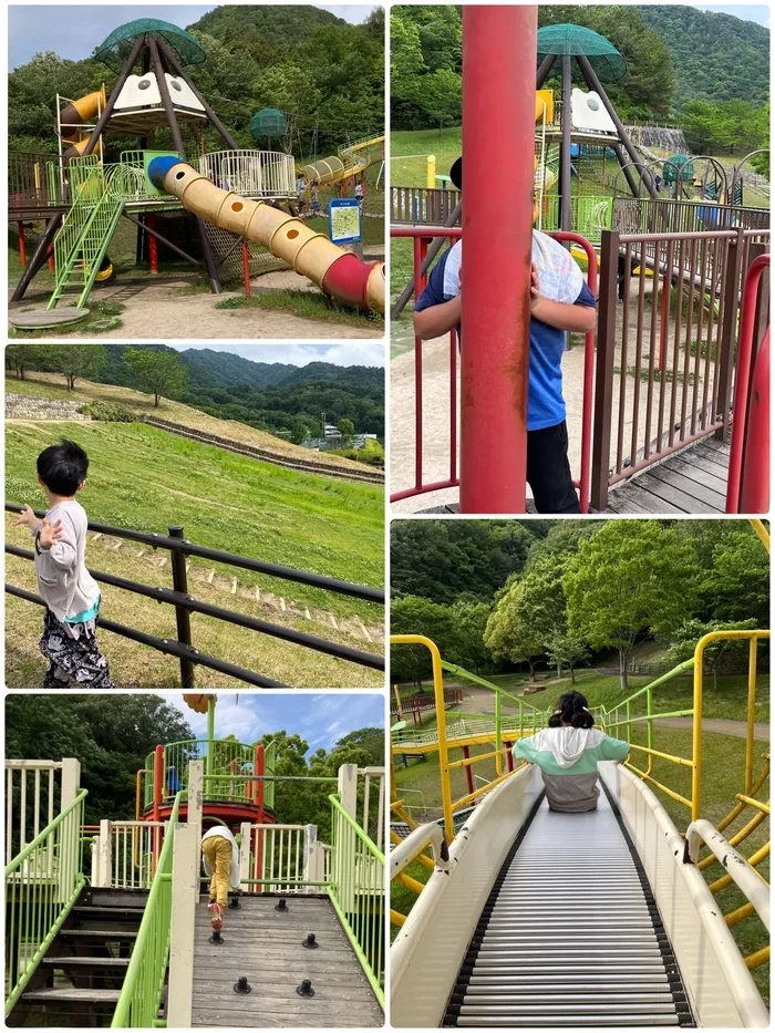 コモンチャイルドケア/公園に行ってきました🌳