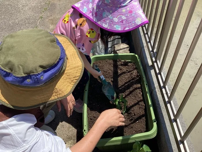 【2024年3月オープン】児童発達支援 えほんの木 守山/夏野菜を植えました♪