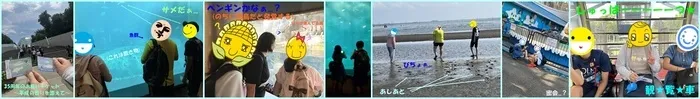 I Try ジュニア中浦和/＠葛西臨海水族園