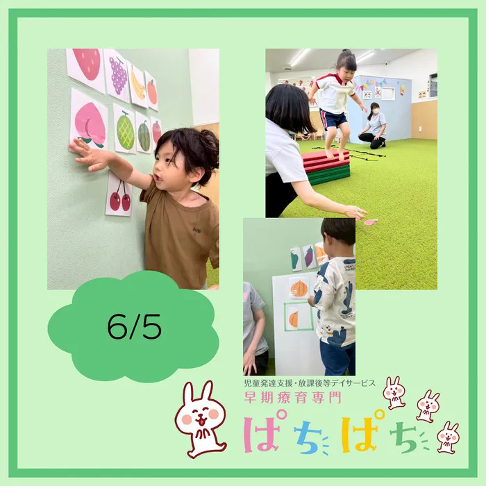【1歳から通える】早期療育専門 ぱちぱち/【6/5】これなぁに？&金魚はどこだ？サーキット