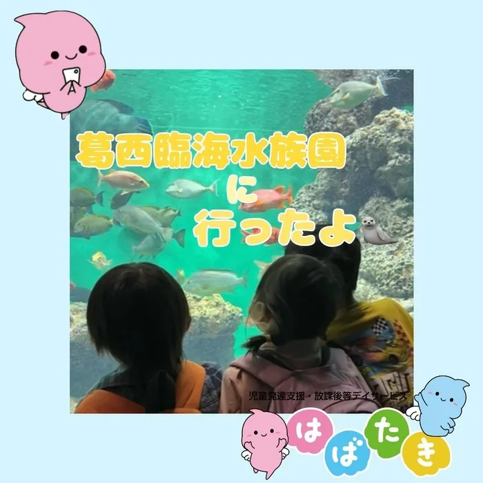  【言語聴覚士在籍】はばたき　千葉中央教室/葛西臨海水族園に行ったよ🦭