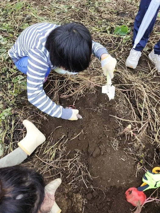 【言語聴覚士☆在籍☆】　はばたき　千城台教室/【児童発達支援】　イベントで🍠お芋ほり🍠