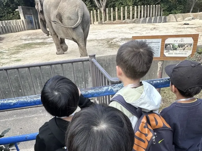 【言語聴覚士☆在籍☆】　はばたき　千城台教室の画像