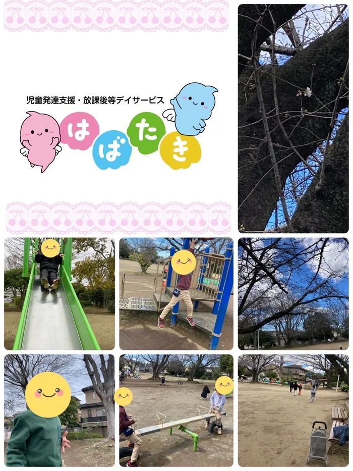 【言語聴覚士・理学療法士☆在籍☆】はばたき小倉台教室/小倉台公園〜桜の花咲いたかな🌸