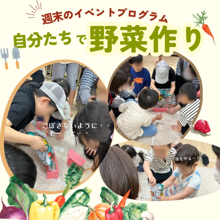 こぱんはうすさくら　八千代台教室/🥛牛乳パック🥛で野菜作りに挑戦‼🌱