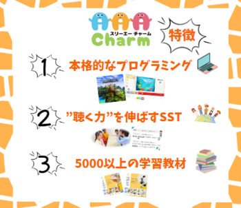 AAA Charm【現在空きなし JR岡崎駅徒歩3分】/プログラム内容