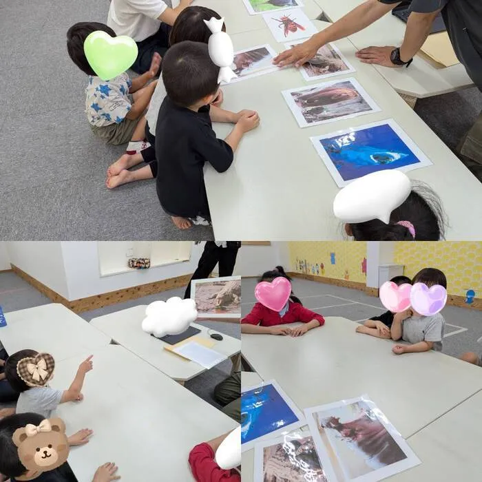 ひまわりはぁと光善寺/世界の危険生物クイズ