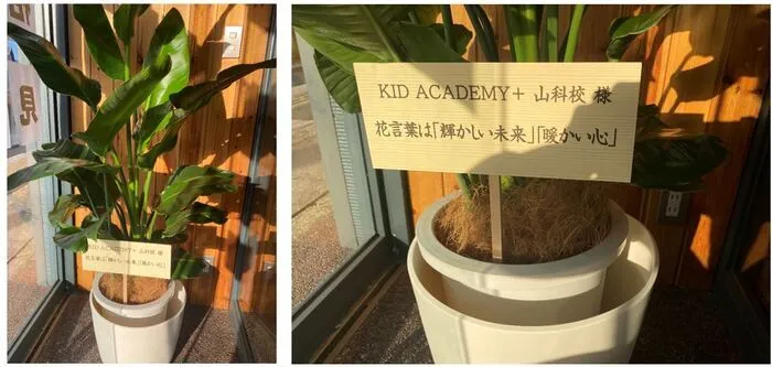 KID ACADEMY山科校（キッドアカデミー）/花言葉　【輝かしい未来】【暖かい心】🌸