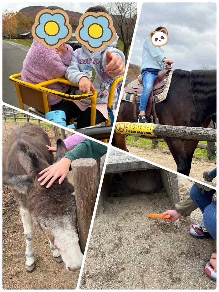 わくわく子供ひろば坂の上/ふれあい牧場🐃🐂🐄