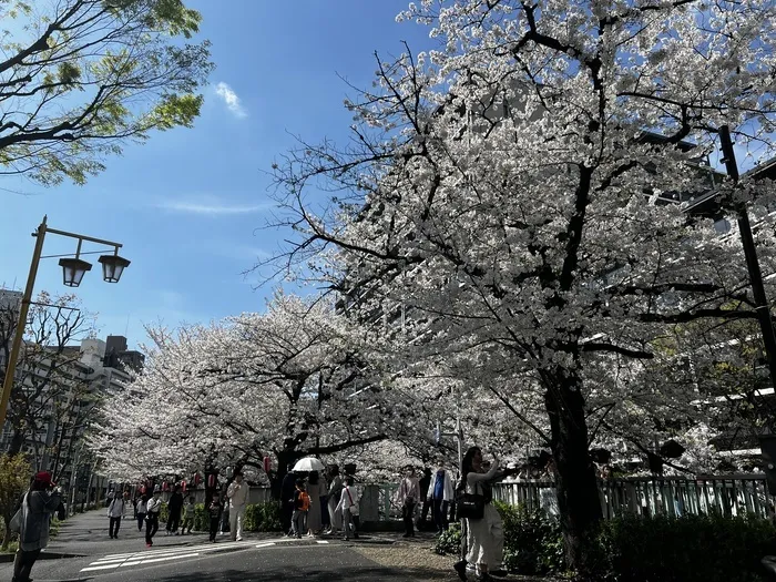 【2024年4月OPEN！】てらぴぁぽけっと　早稲田教室/★4月の体験会・見学会情報更新！★