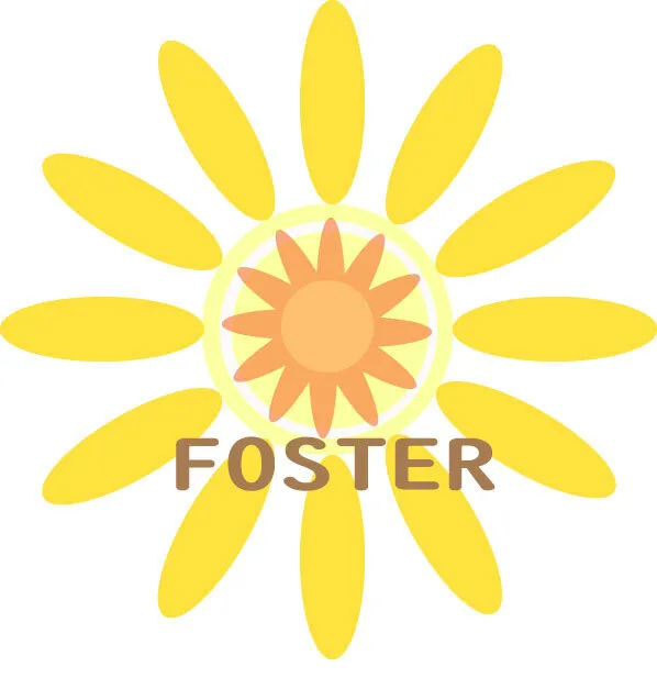 児童発達支援・放課後等デイサービス　Foster/プログラム内容