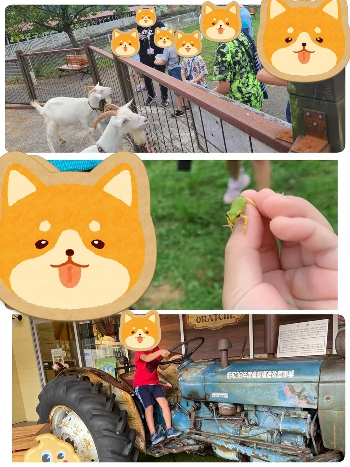 放課後等デイサービスぽかぽか清水町/オラッチェに行ってきました🐐