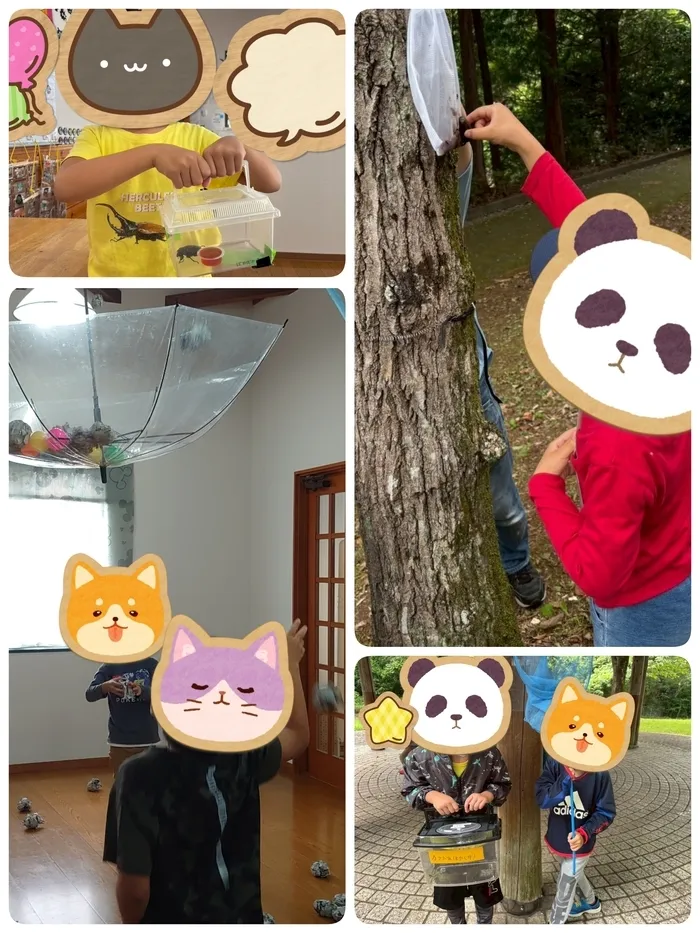 放課後等デイサービスぽかぽか清水町/虫取りに行ったよ！🪲