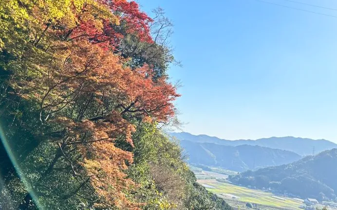 発達支援ほのぼーの/紅葉狩り