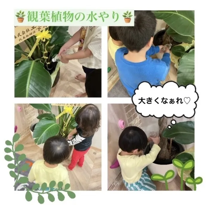 放課後等デイサービスワンスターロイス/観葉植物の水やり🪴