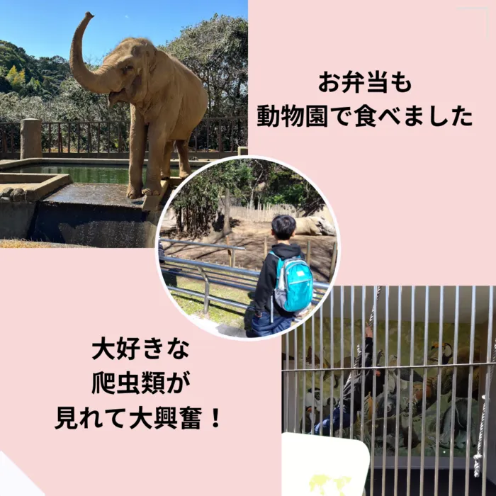 めいめい/初めてのおでかけ！日本平動物園！