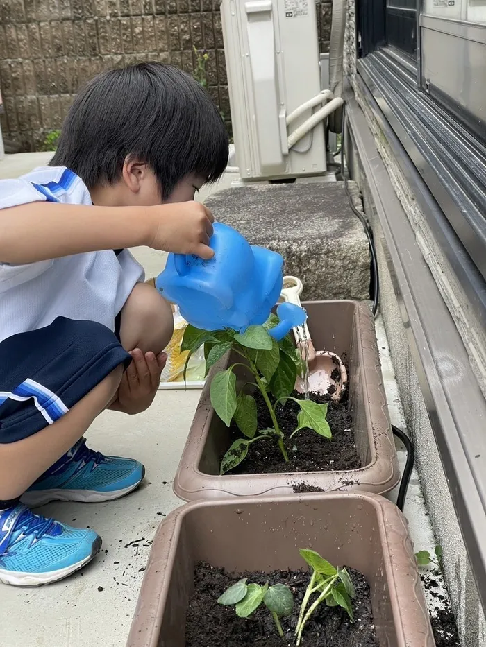 児童発達支援・放課後等デイサービス　みらいく/お野菜の水やり😊