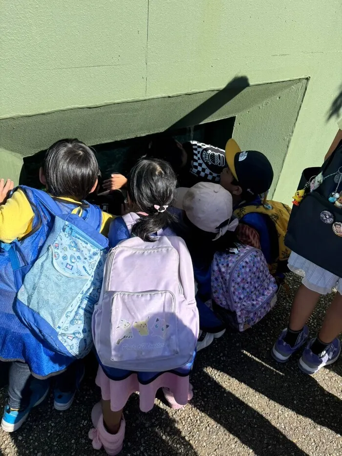 わいわいハウス/11月　東山動物園