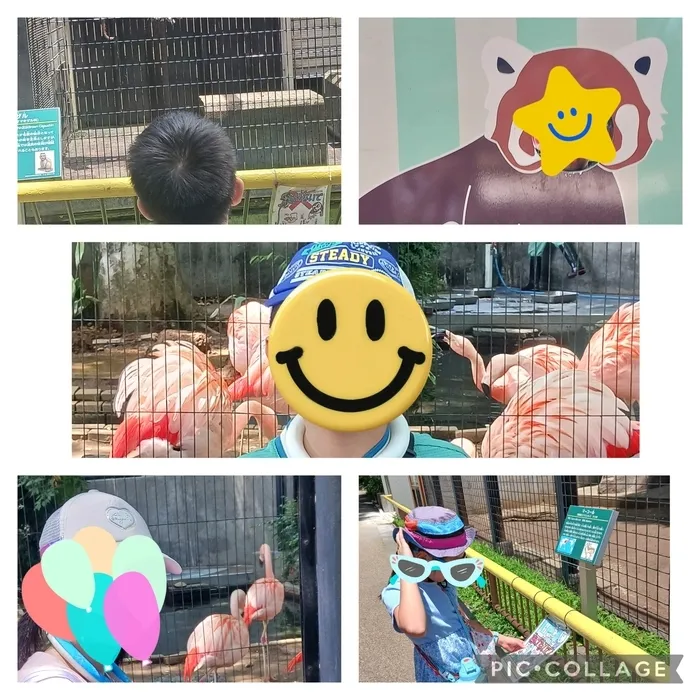 放課後等デイサービス　はれやか/夢見ヶ崎動物公園