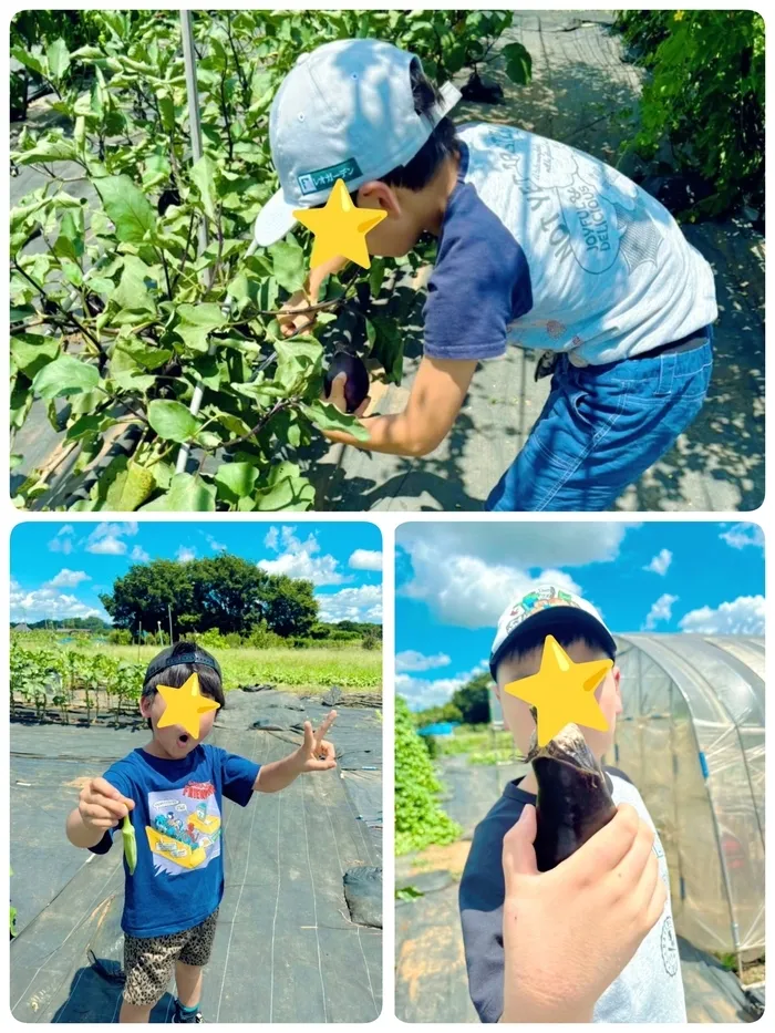 こどもみらいひろば　リスキッズ　稲毛教室/もぎたて！🍆野菜収穫②