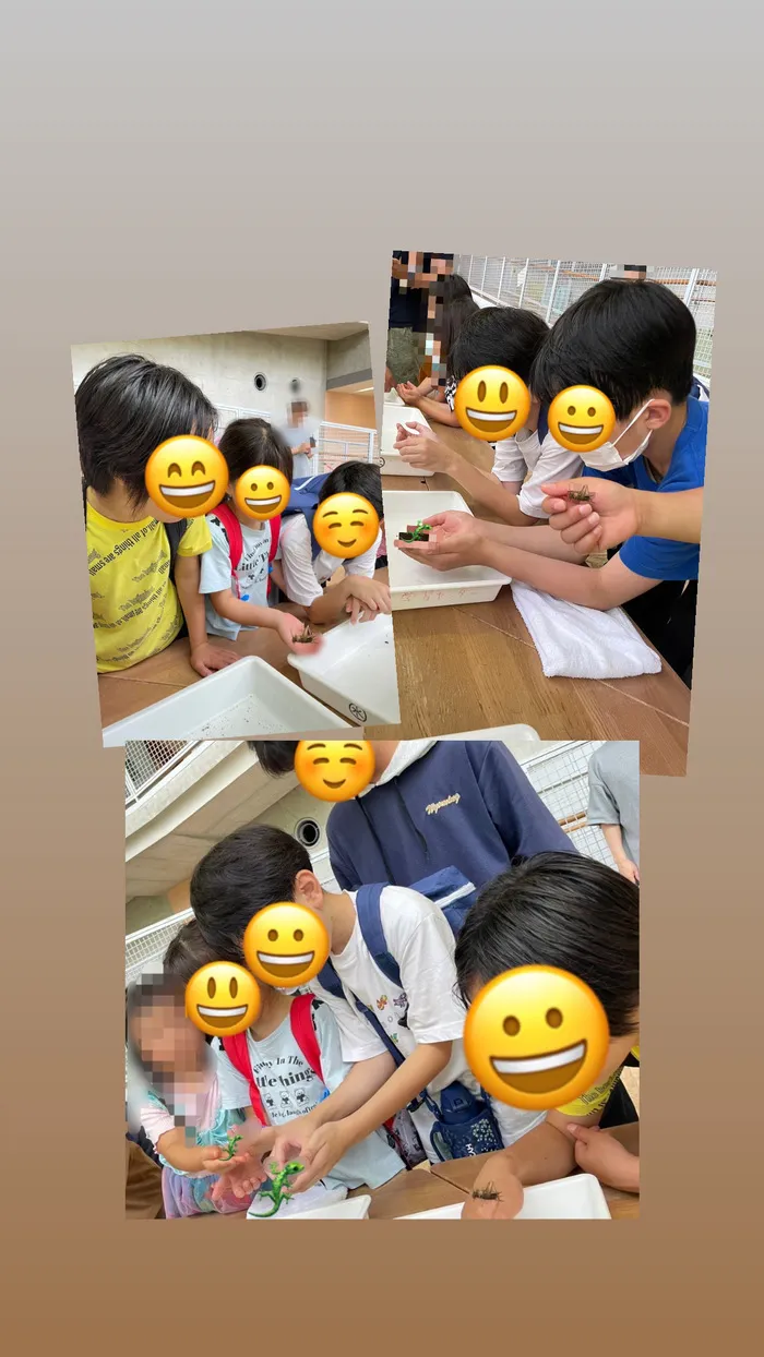 あいはぶ　【2024年4月OPEN！】 【児発・放デイ・保訪】/②今回のメインイベントいきものタッチに参加してきました！