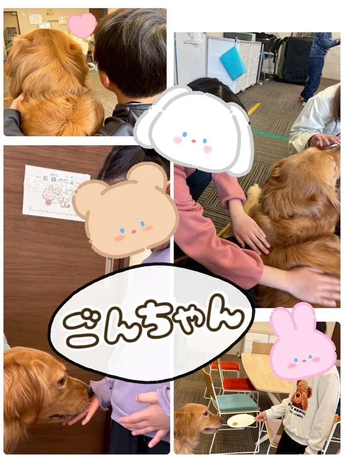 【平日・土日祝空きあり】児童発達支援 Ｐｅｒｃｈ〜パーチ〜/動物触れ合いイベント🐶
