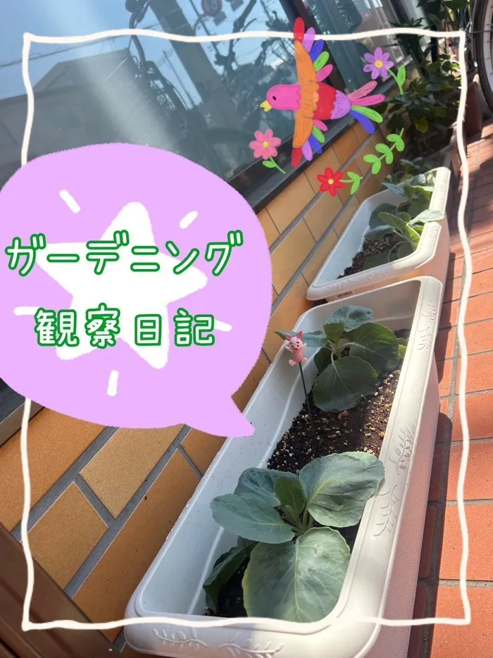 【２０２４年４月オープン！】放課後等デイサービス Ｐｅｒｃｈ〜パーチ〜/ガーデニング成長日記👩‍🌾