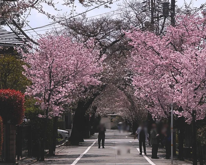 2024年4月オープン★unico世田谷上北沢【空きあり・送迎あり】/春がやってきましたね！