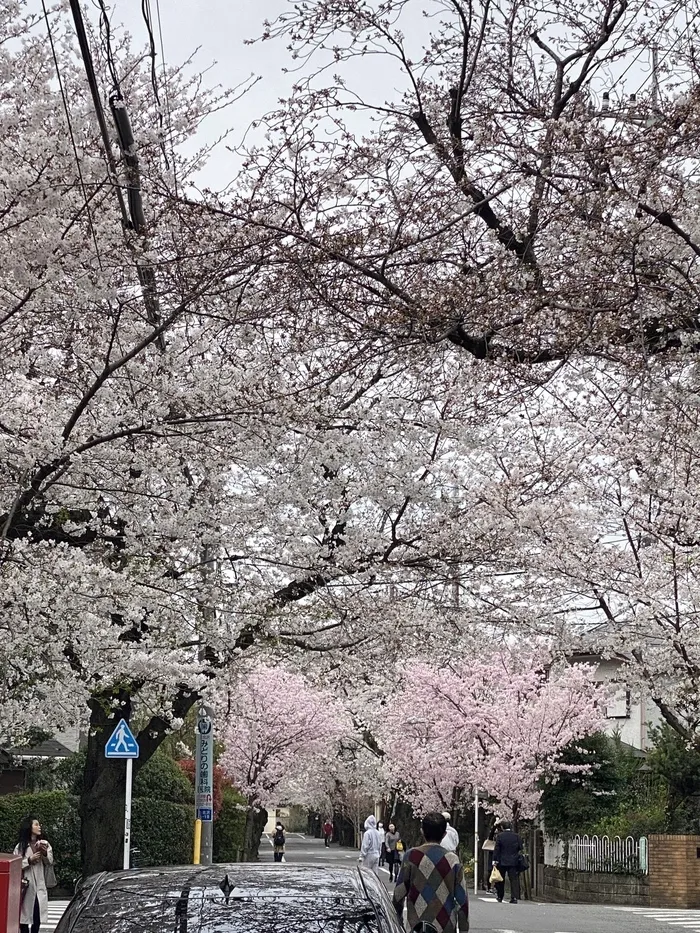 2024年4月オープン★unico世田谷上北沢【空きあり・送迎あり】/外部環境