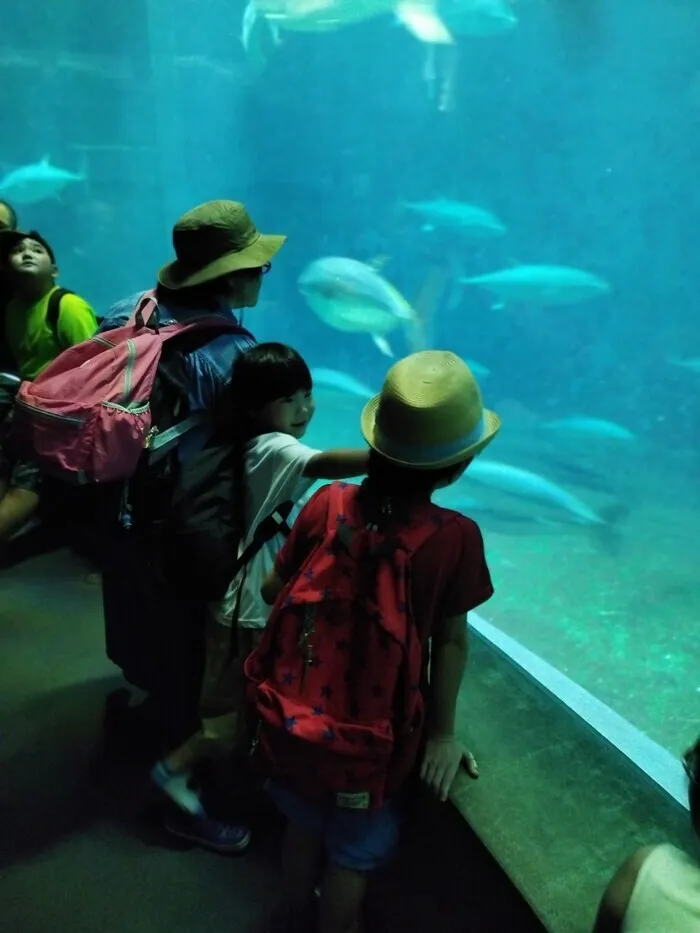 虹とハシビロコウ/葛西臨海水族園へ行ってきました！