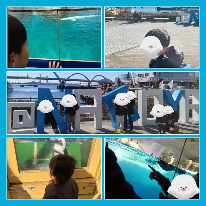 ほーむ鈴鹿/🐧名古屋港水族館に行ったよ！🌟