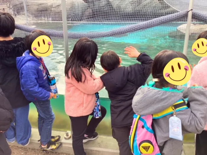 はなるーむ/天王寺動物園に行ってきました🐧