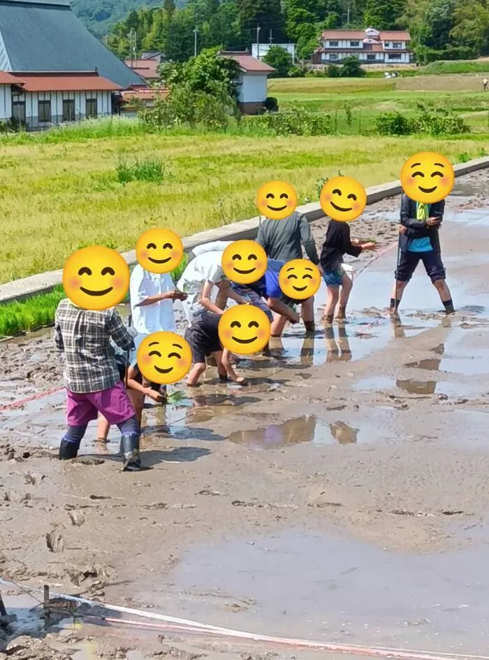 「就労準備型」放課後等デイサービスNESTING寺家/年に一度の田植えに挑戦🌾