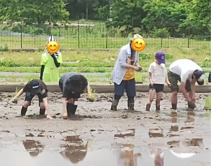 「就労準備型」放課後等デイサービスNESTING寺家/田植え🌱