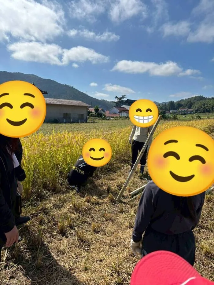 「就労準備型」放課後等デイサービスNESTING寺家/秋になったのでお米の収穫に行きました🎶