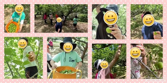 放課後等デイサービスらびっと/梅狩りに行ってきたよ☘️