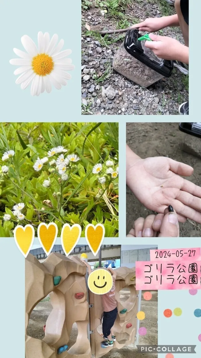 ワンステップスマイル川口教室/ウホウホ　ごりら🦍