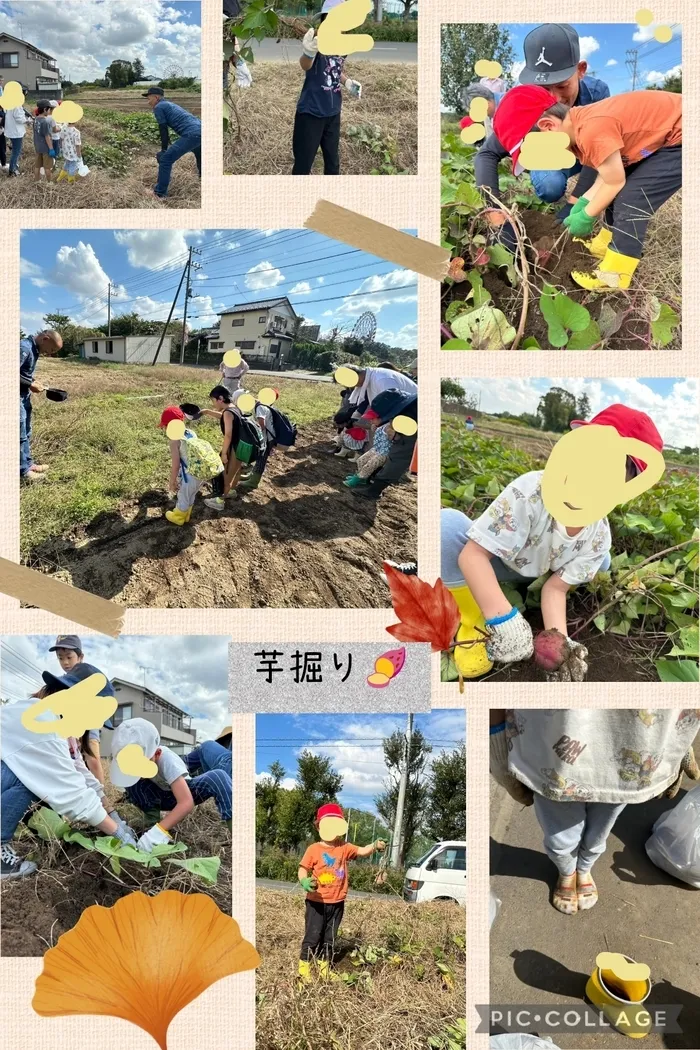 ワンステップスマイル川口教室/芋ほり遠足🍠🧤