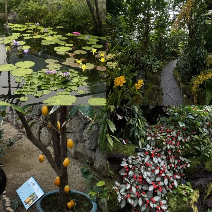 児童発達支援・放課後等デイサービス　いきるちから5/✦·.⋆🪷🌱植物園🌱🪷⋆.·✦ 