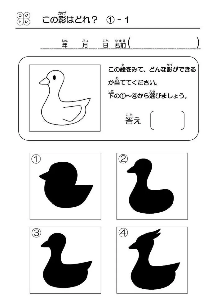 STARRY明大前/STARRY便り📩#11　「コグトレ」⑪ 【この影はどれ?】