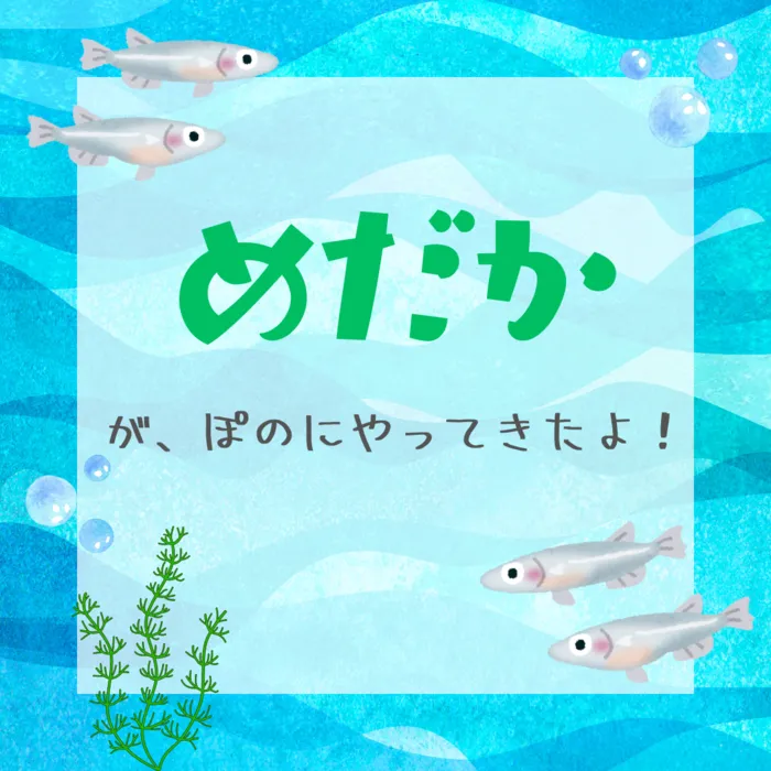 児童発達支援施設　ぽの /インスタグラム更新のお知らせ✨