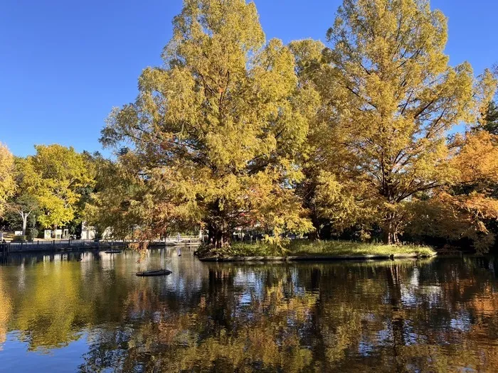  ハッピーテラス浦和教室/公園へ行こう🍁