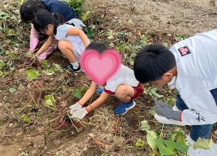 児童発達支援・放課後等デイサービス　ぐりん/お芋ほり