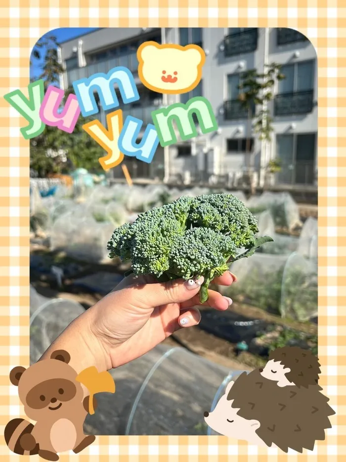 アイダージュニア西浦和教室/畑🥦