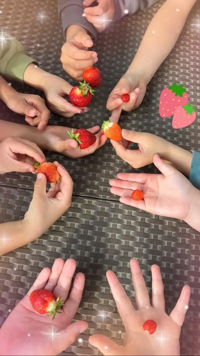 アイダージュニア西浦和教室/いちごを取りに行こう🍓