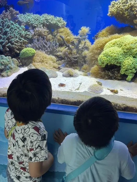 放課後等デイサービスぽかぽかPlus/東海大学海洋水族館へ！🐠