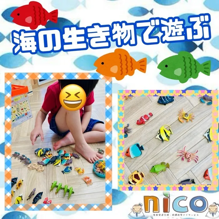 【令和６年５月オープン！】ここっとｎｉｃｏ/海の生き物で遊ぶ！