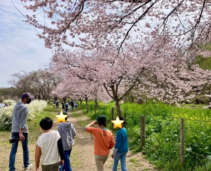 24年4月スタート!　大成町トライラボ　児発・放デイ　　【今なら　空きあり☆】/お花見